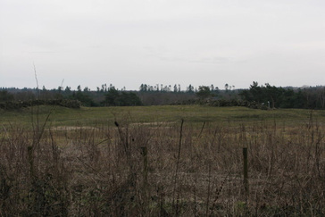 Uitzicht op het ecoduct