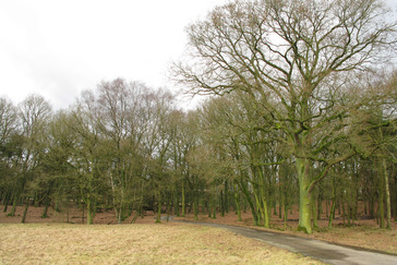 Bosrand Kousenhuisje